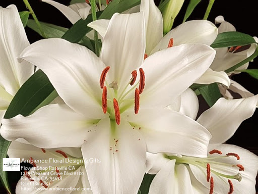Florist «Ambience Floral Design & Gifts», reviews and photos, 1249 Pleasant Grove Blvd #100, Roseville, CA 95678, USA