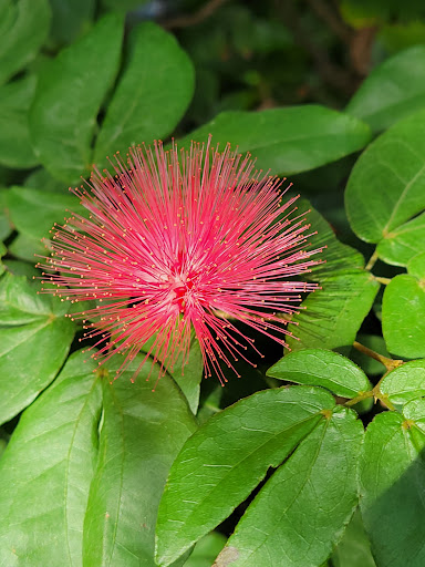 Animal Protection Organization «Butterfly Pavilion», reviews and photos, 6252 W 104th Ave, Westminster, CO 80020, USA