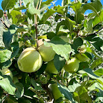 Photo n°9 de l'avis de Grace.a fait le 04/08/2023 à 08:42 sur le  Ventozelo Hotel & Quinta à Ervedosa do Douro