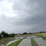 Photo n° 6 de l'avis de Alain.e fait le 03/08/2021 à 13:54 pour Maison de l'Âne à Beauvoir-sur-Mer