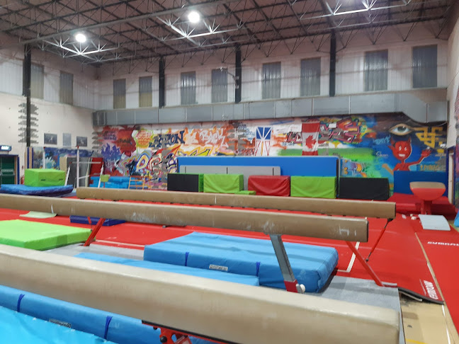 Reviews of West Lothian School Of Gymnastics Trust in Livingston - Gym