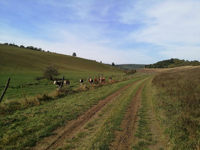 Telefonszám: Három Kincs Völgye