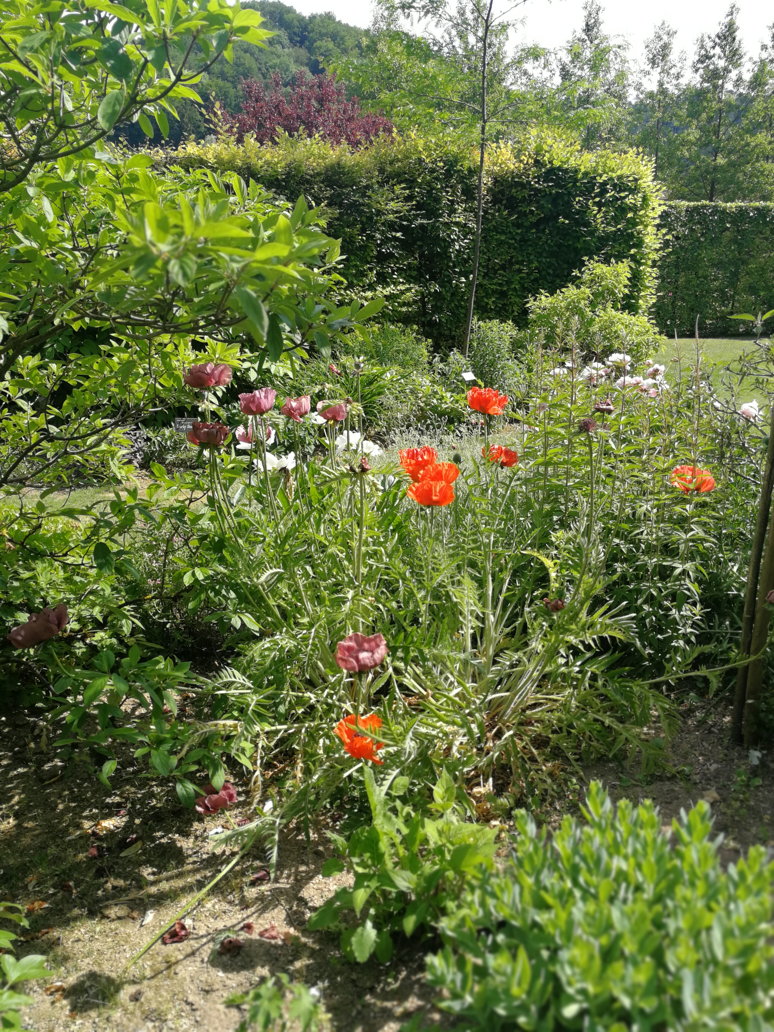 Photo n° 8 de l'avis de nathalie.o fait le 12/06/2019 à 03:54