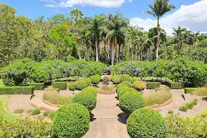 Bundaberg Botanic Gardens image