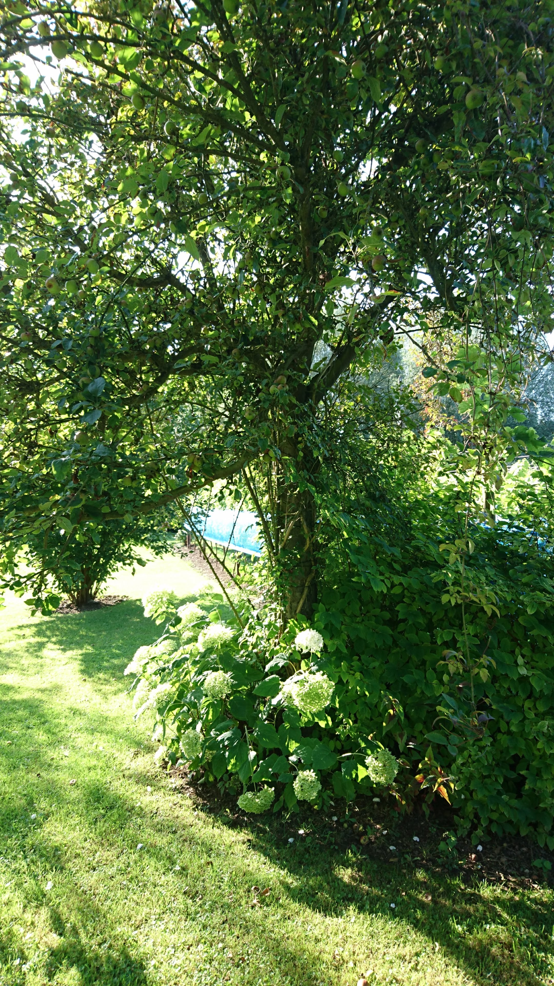 Photo n° 17 de l'avis de Pascale.o fait le 22/08/2019 à 07:54