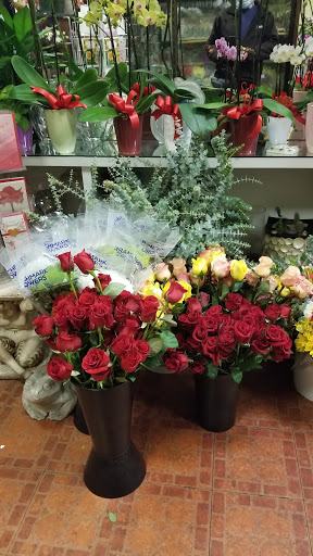 Florist «The Golden Poppy», reviews and photos, 1160 Solano Ave, Albany, CA 94706, USA
