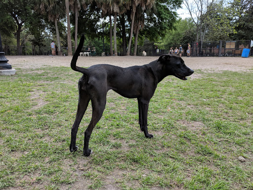 Park «Riverside Park», reviews and photos, 753 Park St, Jacksonville, FL 32204, USA