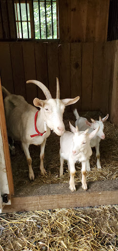 Grocery Store «Kreeky Tree Farm», reviews and photos, 8755 Jones Rd, Slatington, PA 18080, USA