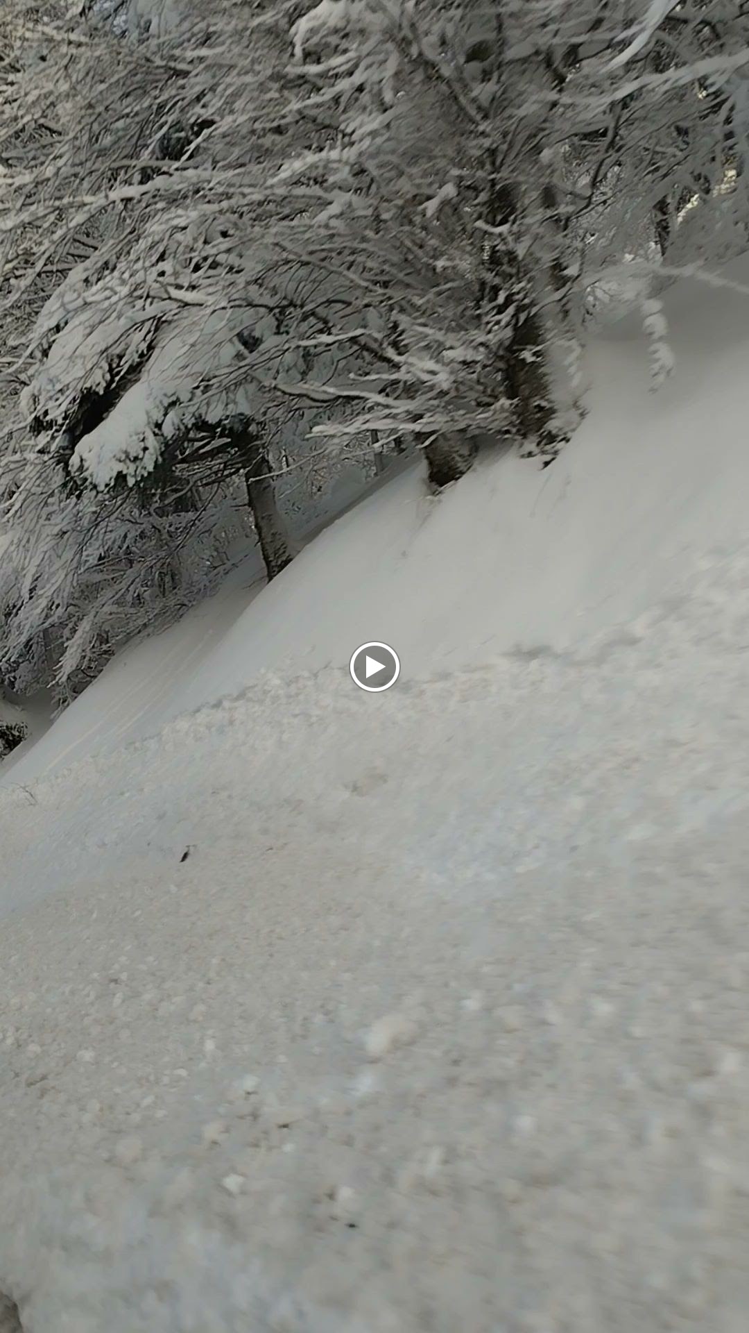 Photo n° 1 de l'avis de Géraldine.a fait le 08/12/2023 à 17:24