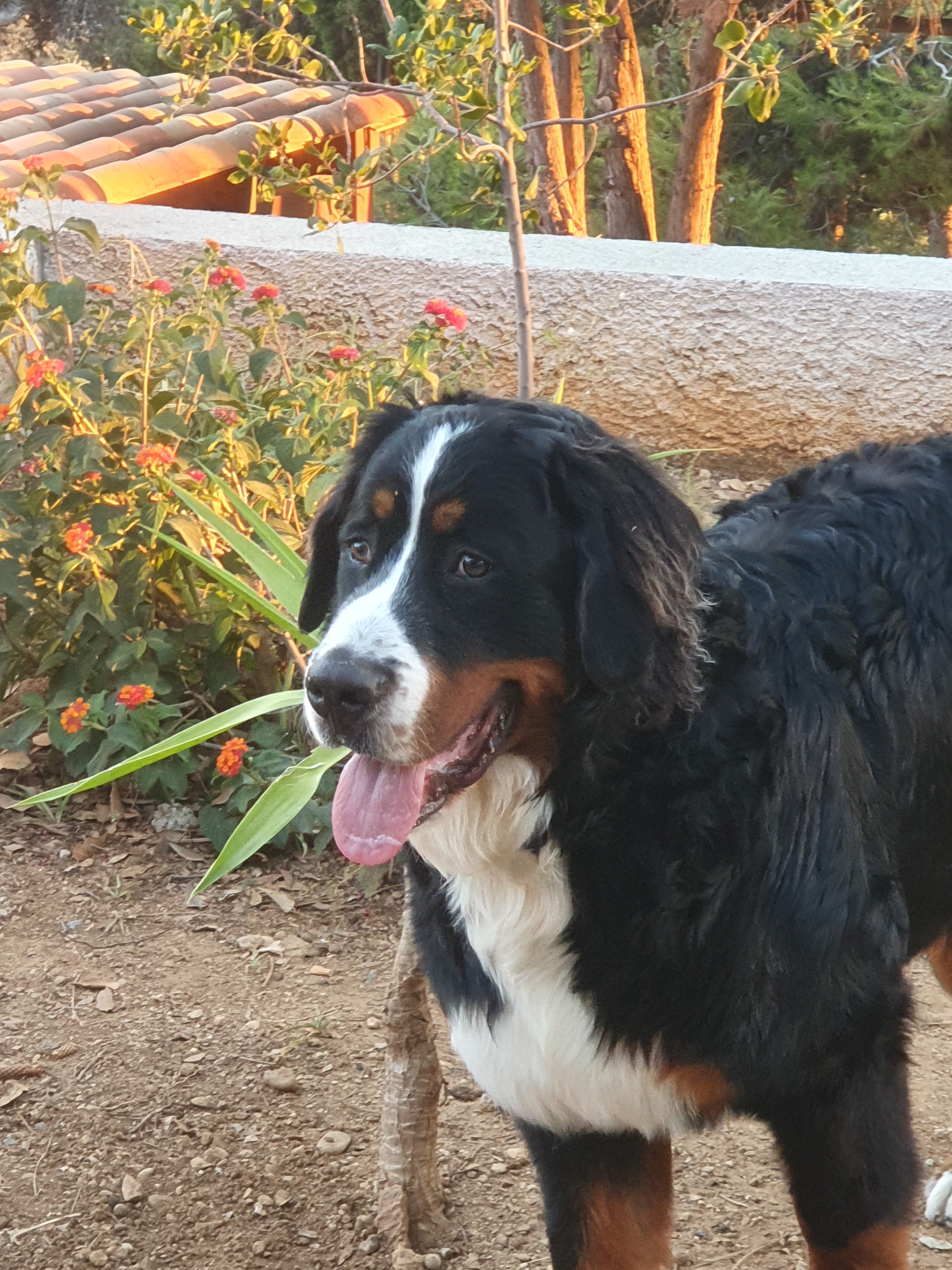 Photo n° 1 de l'avis de Claude.o fait le 09/08/2022 à 14:42