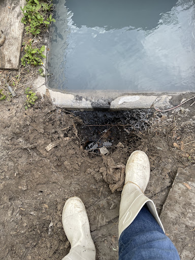 Plumber «Roto-Rooter Plumbing & Drain Services», reviews and photos, 1204 S 22nd St, Tampa, FL 33605, USA