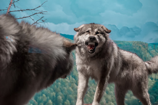 History Museum «The State Museum of Pennsylvania», reviews and photos, 300 North St, Harrisburg, PA 17120, USA