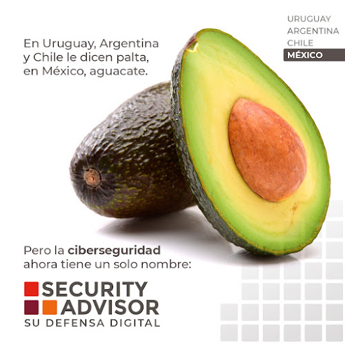 Comentarios y opiniones de Security Advisor Chile