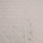 Photo n°1 de l'avis de Ajah.a fait le 12/08/2022 à 13:34 sur le  Mercure Rome Leonardo da Vinci Airport à Fiumicino