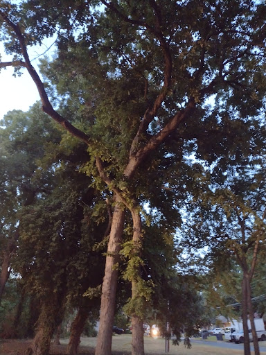 Park «Gateway Park», reviews and photos, 2500 N Jim Miller Rd, Dallas, TX 75227, USA