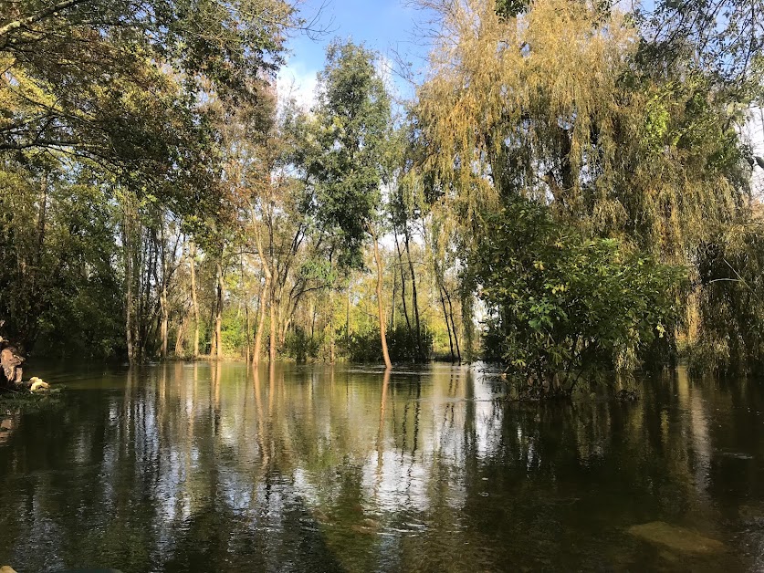 Gite du Moulin de Chardet à Mosnac (Charente-Maritime 17)