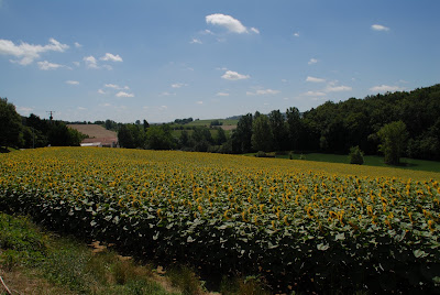 Volailles des Arbrieux SARL à Coulx