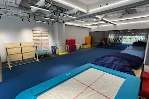 星體操 STAR GYM image