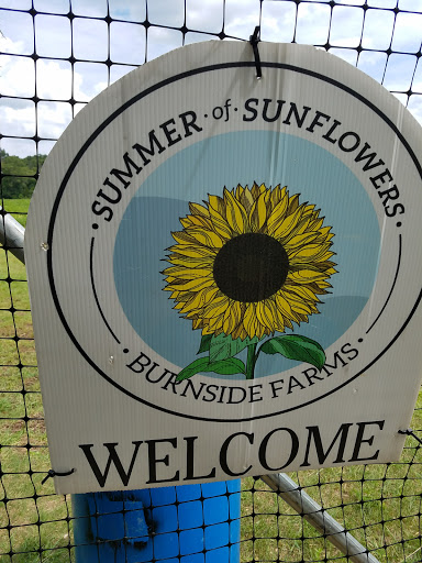 Tourist Attraction «Burnside Farms - Flower Fields», reviews and photos, 15441 Haymarket Dr, Haymarket, VA 20169, USA