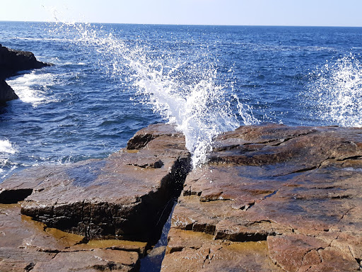 Vista Point «Schoodic Point», reviews and photos, Arey Cove Rd, Winter Harbor, ME 04693, USA