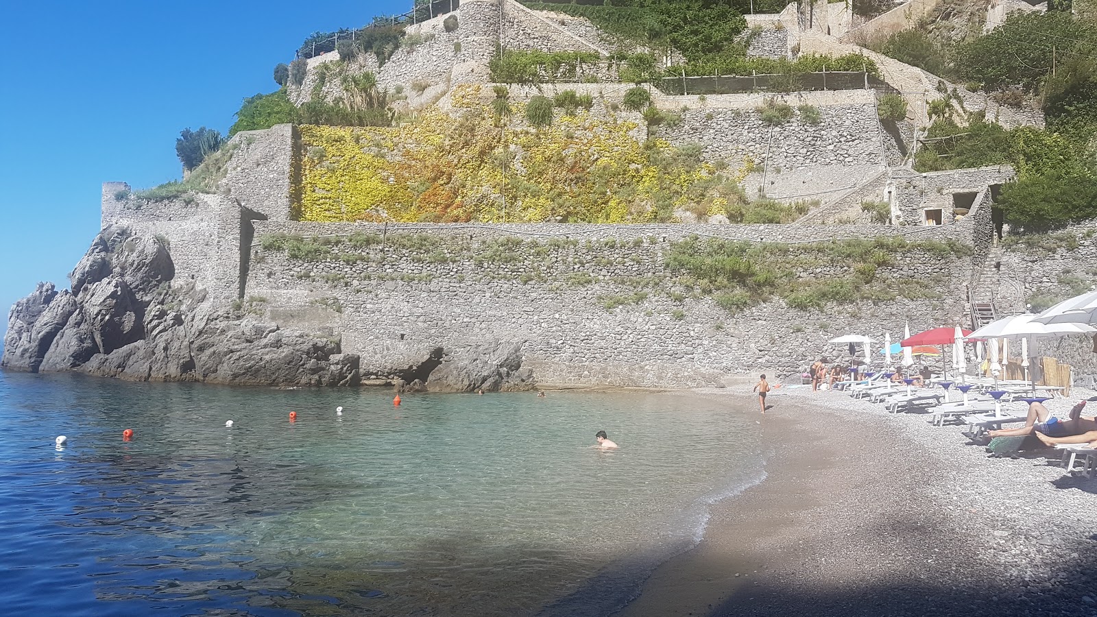 Foto de Clear Water beach localizado em área natural