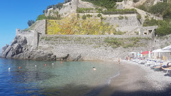 Clear Water beach'in fotoğrafı doğal alan içinde bulunmaktadır