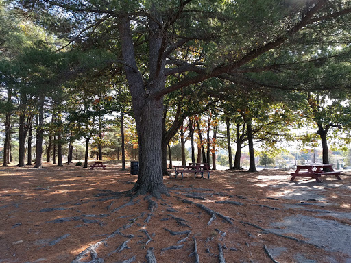 Park «Simonds Park», reviews and photos, 10 Bedford St, Burlington, MA 01803, USA