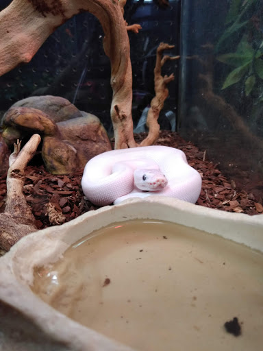 Pet Store «Petland», reviews and photos, 351 Diederich Blvd, Ashland, KY 41101, USA