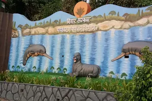 Dolphin ECO Park image