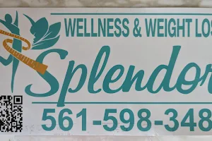 Splendor Wellness Center & Spa image