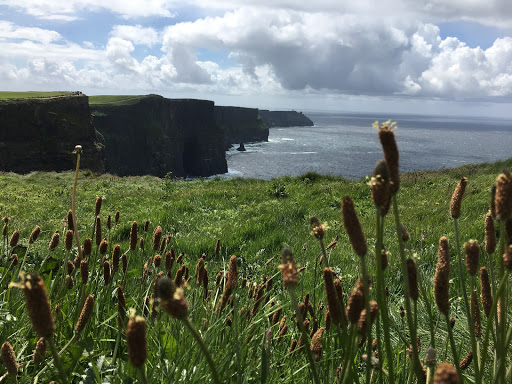 Travel Agency «Kingsbridge Travel», reviews and photos, 10006 Cross Creek Blvd #414, Tampa, FL 33647, USA