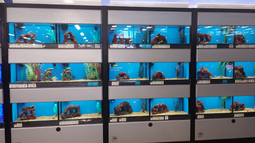 Petco image