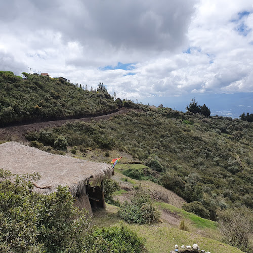 Comentarios y opiniones de CENTRO INTEGRAL DE ALPACAS Y TURISMO WIRACOCHA