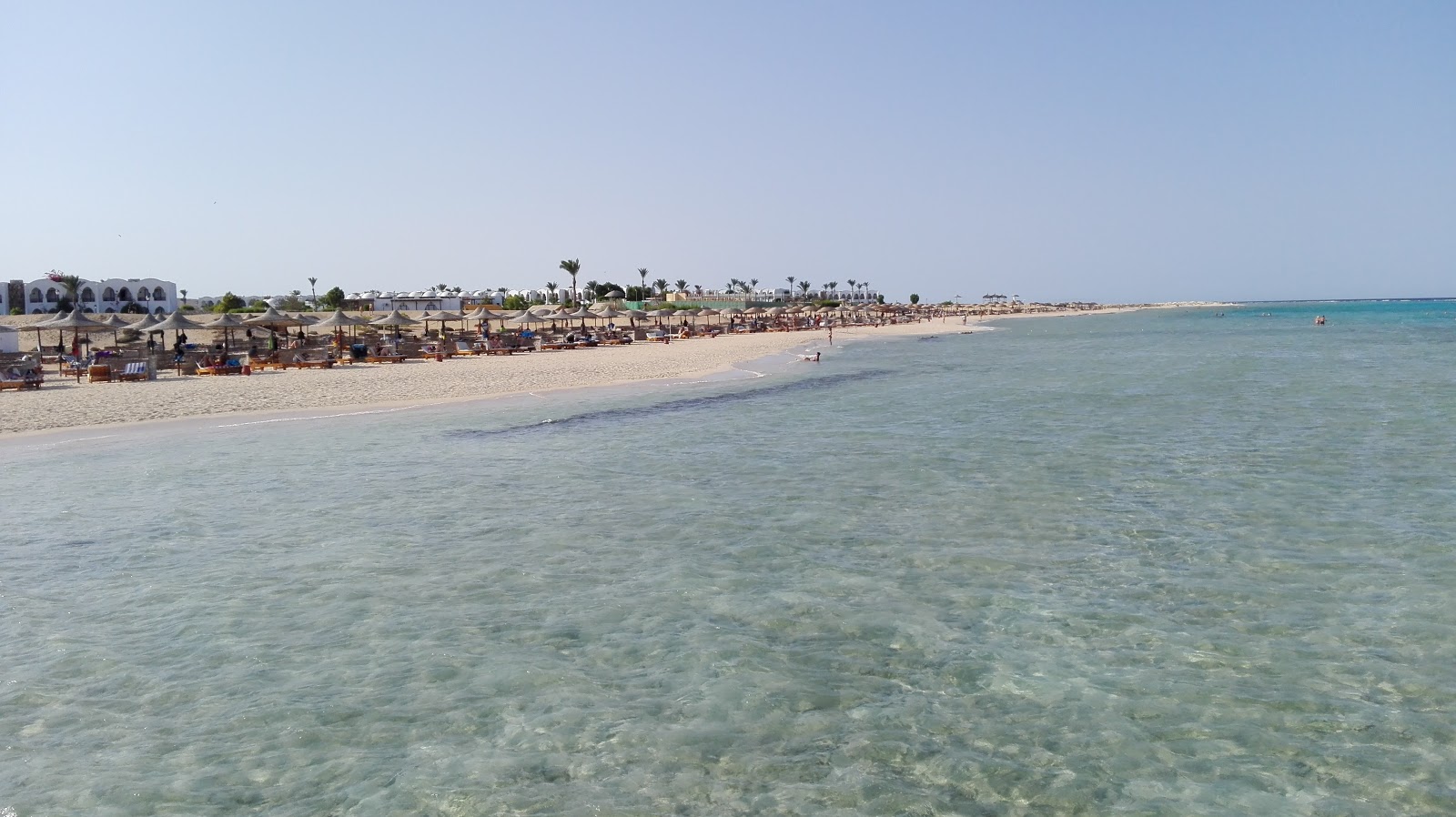 Photo de Gorgonia Beach et le règlement