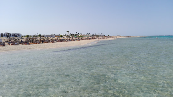 Gorgonia Beach