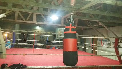 Gimnacio De Boxeo - Andres Bello, Valdivia, Los Ríos, Chile