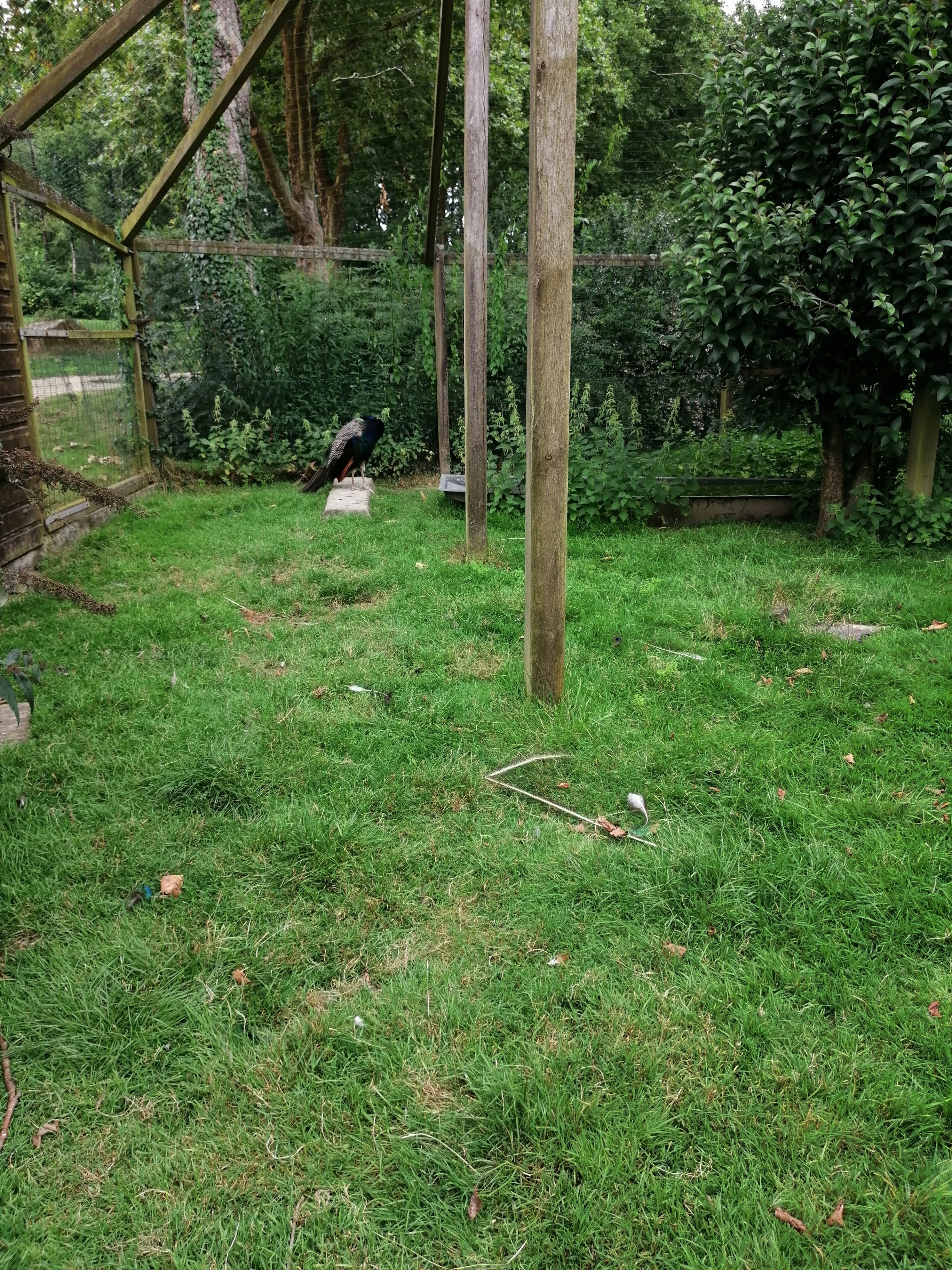 Photo n° 1 de l'avis de Cindy.i fait le 17/08/2021 à 21:11
