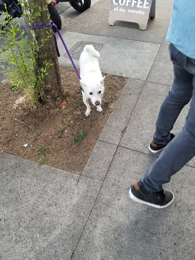 Motorcycle Shop «See See Motorcycles», reviews and photos, 1642 NE Sandy Blvd, Portland, OR 97232, USA