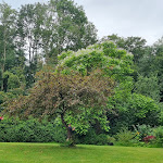 Photo n°6 de l'avis de sascha.r fait le 23/07/2022 à 07:01 sur le  Café Lindauhof - Landarzthaus à Boren