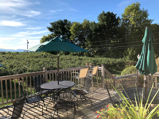 Winery «Charlotte Village Winery», reviews and photos, 3968 Greenbush Rd, Charlotte, VT 05445, USA