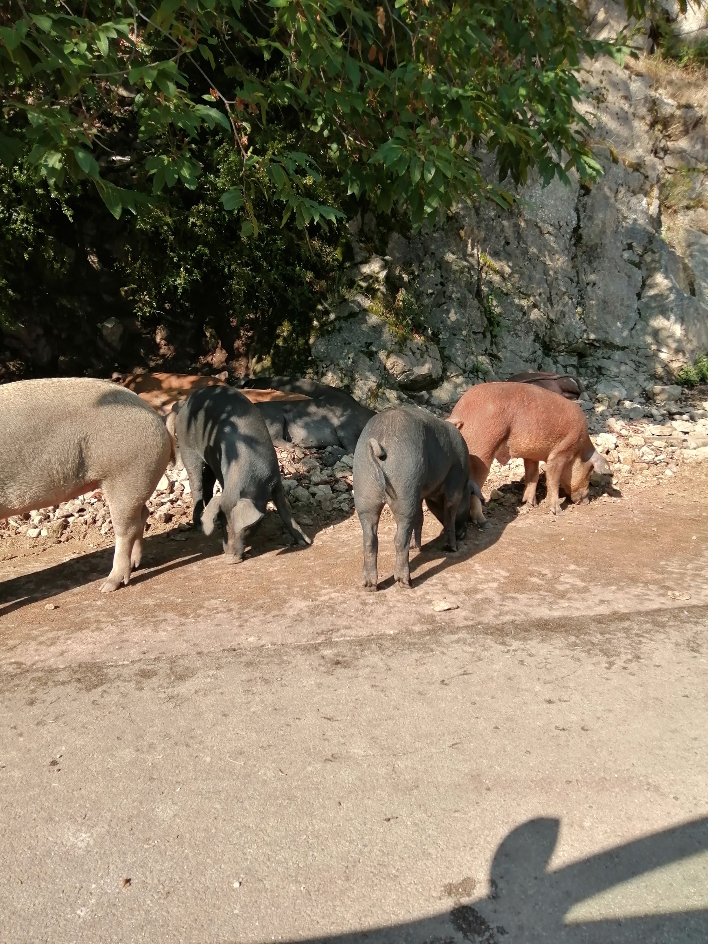 Photo n° 4 de l'avis de vincent.o fait le 10/09/2019 à 07:03
