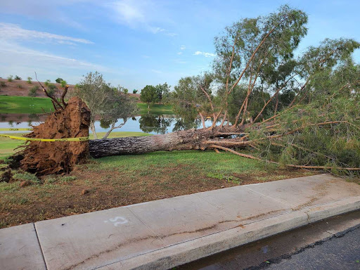 Auto Insurance Agency «Safe Street Insurance», reviews and photos