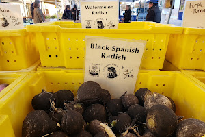 North Berkeley All Organic Farmers' Market - Thursday