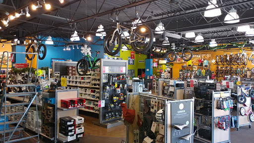 Bicycle Store «American Cycle & Fitness - The Trek Bicycle Stores of Michigan», reviews and photos, 29428 Woodward Ave, Royal Oak, MI 48073, USA