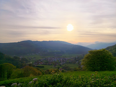 Sitios que visitar en Abaltzisketa
