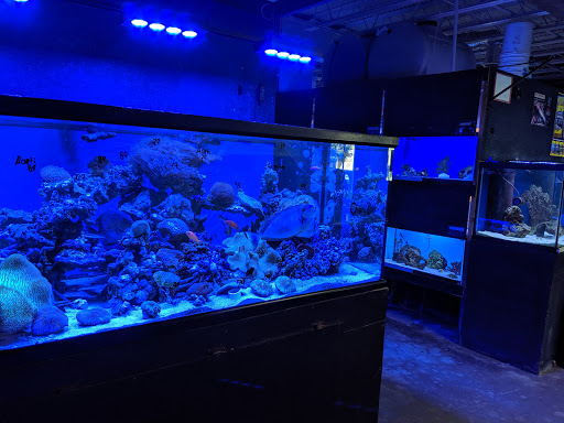 Pet Store «Something Fishy: Saltwater Aquarium Superstore», reviews and photos, 511 E 21st St, Northampton, PA 18067, USA