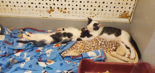 Pet Store «Animal Ark Pet Stores», reviews and photos, 33 Center St, Orem, UT 84057, USA