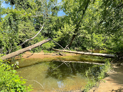 Park «Government Island», reviews and photos, 191 Coal Landing Road, Stafford, VA 22554, USA