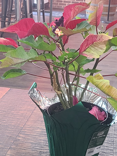 Tattoo Shop «Exposed Temptations Tattoo», reviews and photos, 8686 Liberia Ave, Manassas, VA 20110, USA