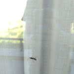 Photo n°1 de l'avis de Civan. fait le 11/07/2017 à 17:06 sur le  Hotel Capracotta à Capracotta